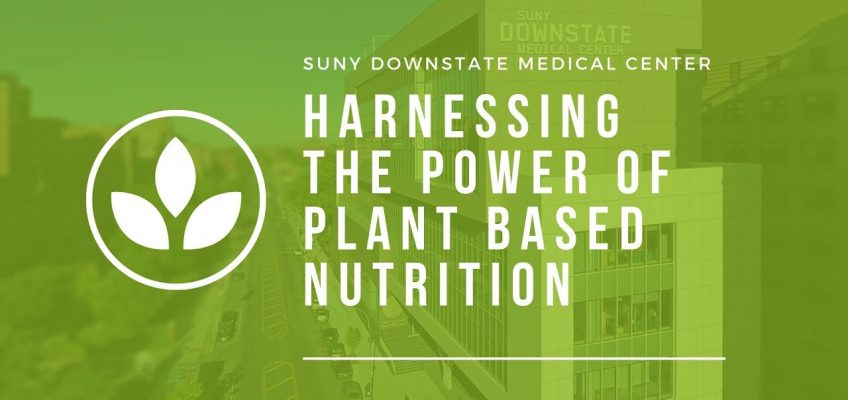 Plant Based Nutrition – Session II