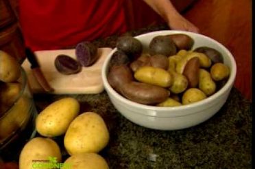 Potato Types: Potatoes 101 – Nutrition of a Potato