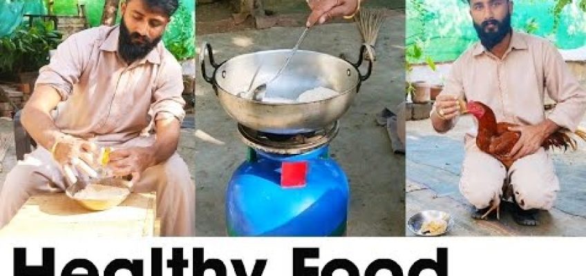 Special Food For Rooster | Healthy Food