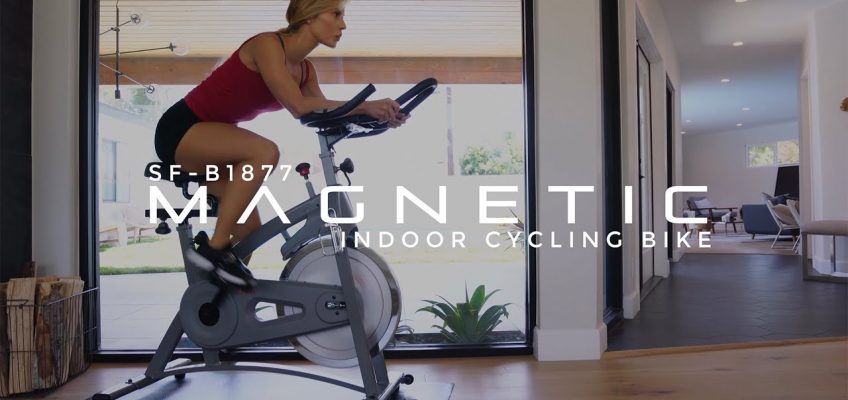 Sunny Health & Fitness Endurance Belt Drive Magnetic Indoor Exercise Cycle Bike SF-B1877