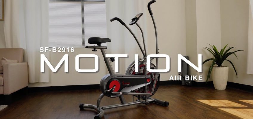 Sunny Health & Fitness SF-B2916 Motion Air Bike