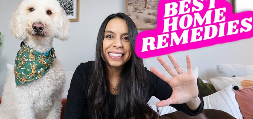 TOP 5 Natural Ways To STOP Dog's Itchy Skin 🐶 Home Remedies that actually work!