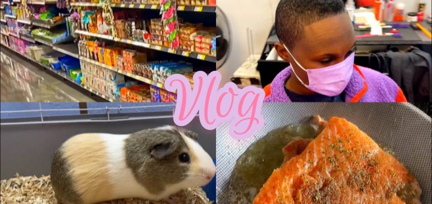#Vlog VLOG: Haircut..Healthy eating?…Shopping..Pet Store +More