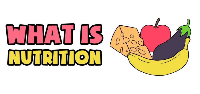 What is Nutrition | Explained in 2 min