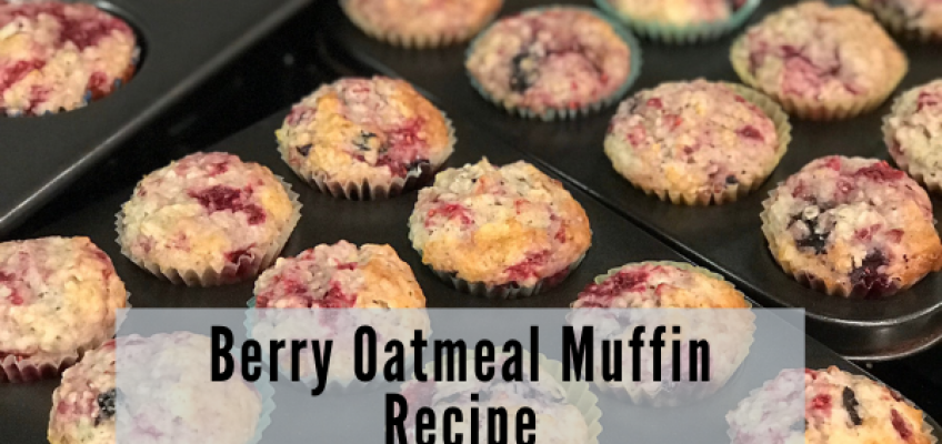 Berry Oatmeal Muffin Recipe | Health Stand Nutrition