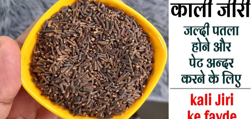 निकला पेट, मोटापा Belly Fat, सर्दी जुकाम सहित 8 रोगों का आयुर्वेदिक इलाज काली जीरी Kali Jiri
