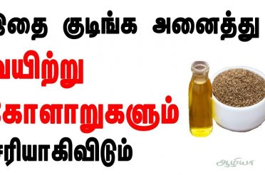 வயிற்று கோளாறுகள் நீங்க பாட்டி வைத்தியம் | Stomach Problem Remedies in  Tamil