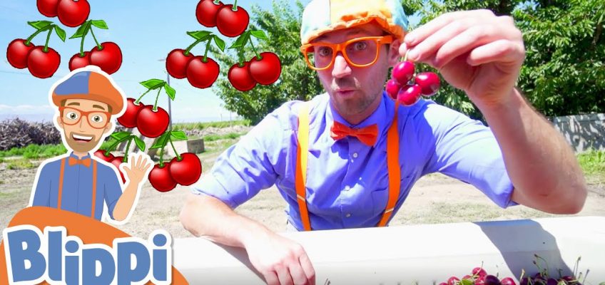 Blippi Visits a Cherry Farm | Healthy Eating For Children | Educational Videos For Kids