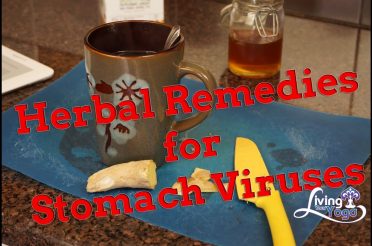 Herbal Redemies for Stomach Virus