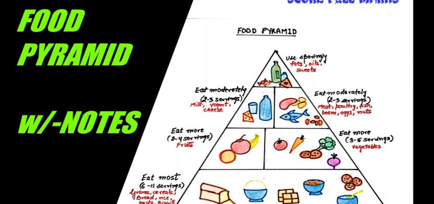 How to draw and color FOOD PYRAMID / HEALTHY EATING / BALANCED DIET w/-NOTES / SCIENCE /Step by step
