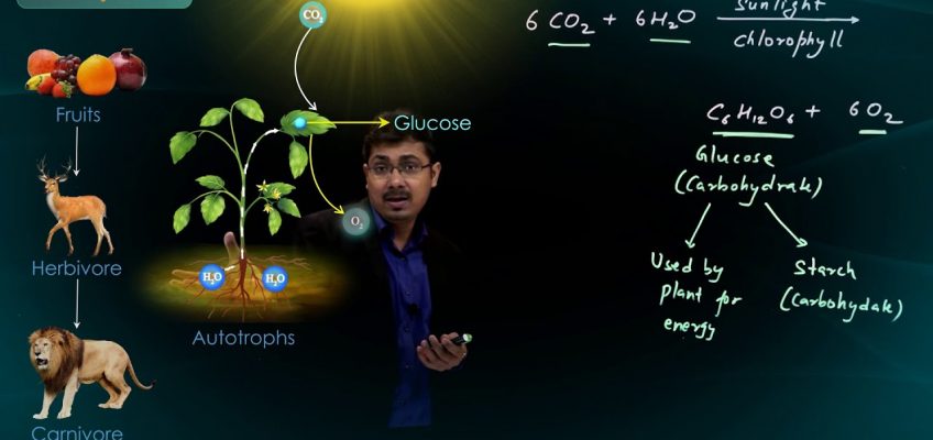 Life Process | Nutrition, Mode of Nutrition and Photosynthesis | CBSE Class 10 Science | Biology