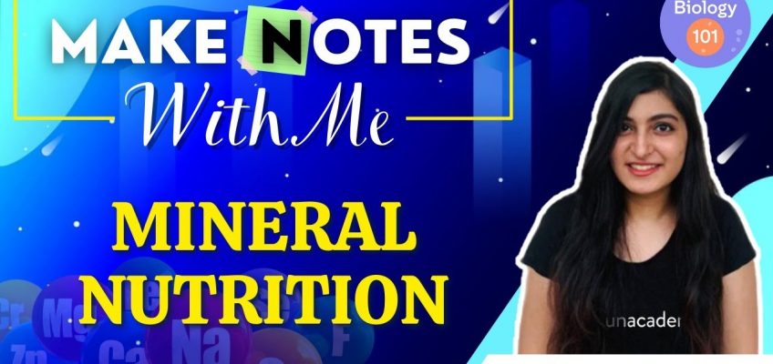 Mineral Nutrition | Make Notes With Me | NEET UG | Ishita Khurana