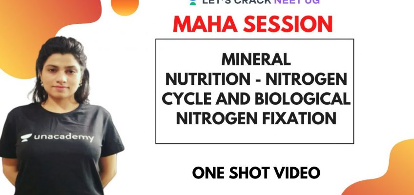 Mineral Nutrition – Nitrogen Cycle and Biological Nitrogen Fixation | NEET Biology | NEET 2020