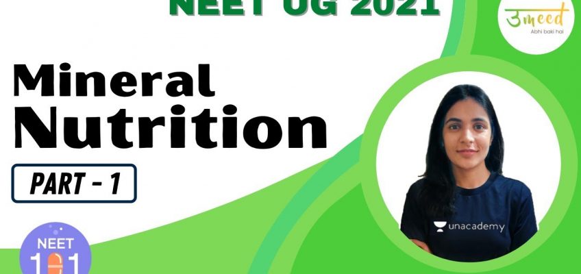 Mineral Nutrition | Part 1 | NEET 2021 | UMMEED | Komal Yadav