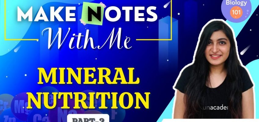 Mineral Nutrition | Part-2 | Make Notes With Me | NEET UG | Ishita Khurana
