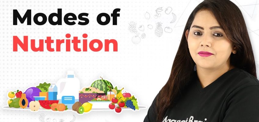 Modes of Nutrition – Life Process | Class 10th Biology