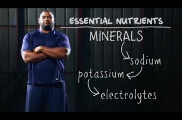 Nutrition, Hydration & Health – Science of NFL Football