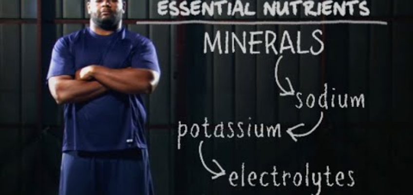 Nutrition, Hydration & Health – Science of NFL Football