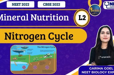 Sankalp: Mineral Nutrition L-2 | Nitrogen Cycle | NEET Toppers | Garima Goel