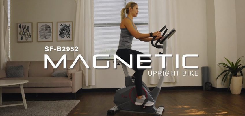 Sunny Health & Fitness SF-B2952 Upright Exercise Bike