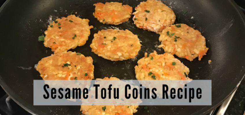 Sesame Tofu Coins Recipe | Health Stand Nutrition