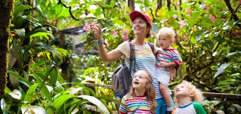 Healthy Easter Basket Ideas | The Leaf Nutrisystem Blog