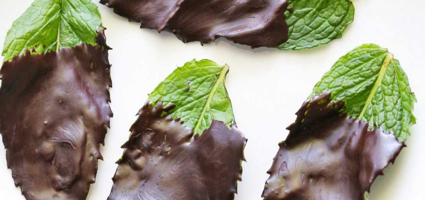 Chocolate Mint Leaves | Healthy Recipes Blog