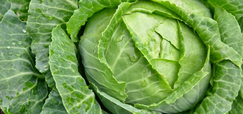 10 Green Foods You’ll Love