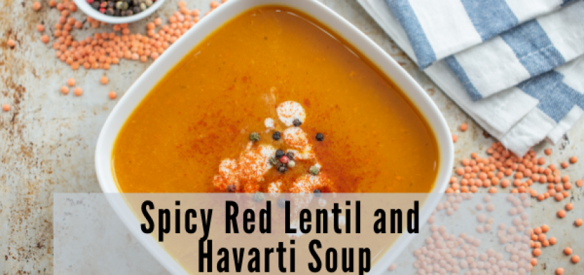Spicy Red Lentil and Havarti Soup
