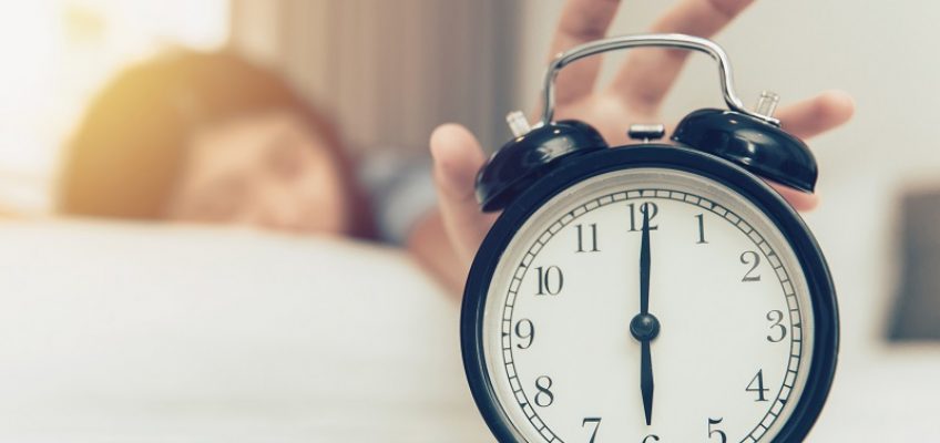 Early Bird or Night Owl?