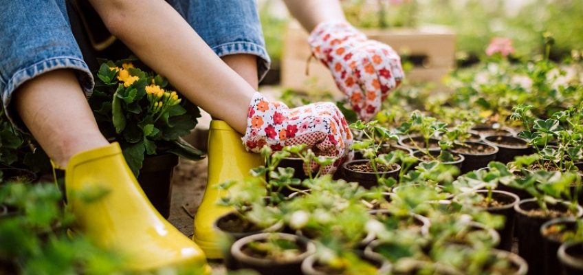 Gardening Benefits and Healthy Living