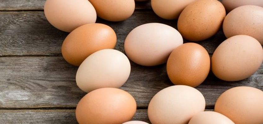 Health Benefits of Eggs (Plus Recipes!)