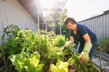 10 Home Gardening Tips for Beginners