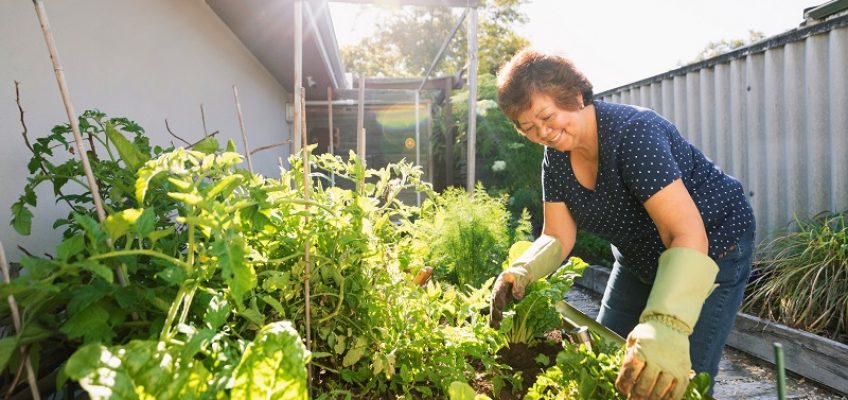 10 Home Gardening Tips for Beginners
