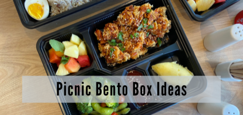 Picnic Bento Box Ideas