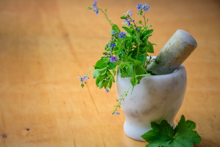 Discovering Tranquility: The Astonishing Benefits of Herbal Remedies for Stress Relief